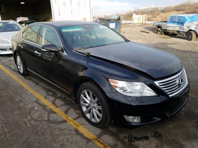 2010 lexus ls 460