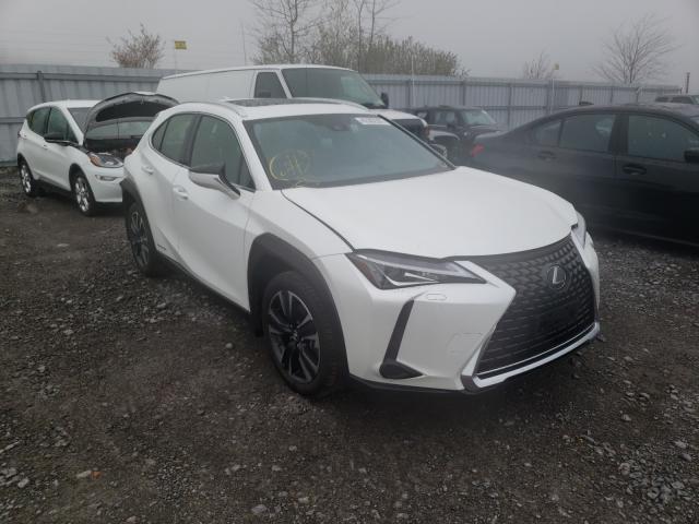 2019 lexus ux250h