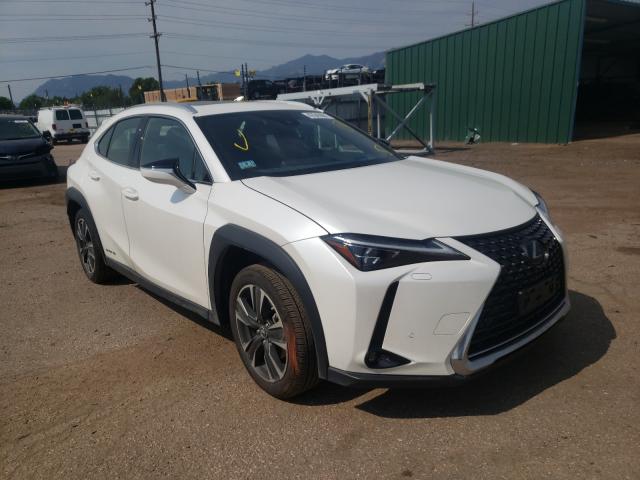 2019 lexus ux250h