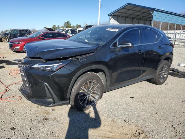 2024 LEXUS NX