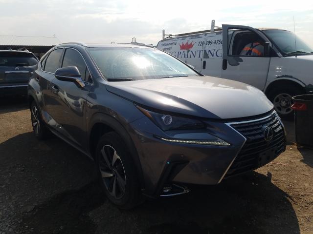 2019 lexus nx 300 bas