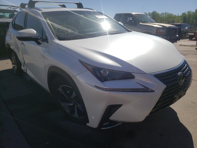 2019 lexus nx 300 bas