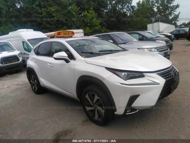 2019 lexus nx