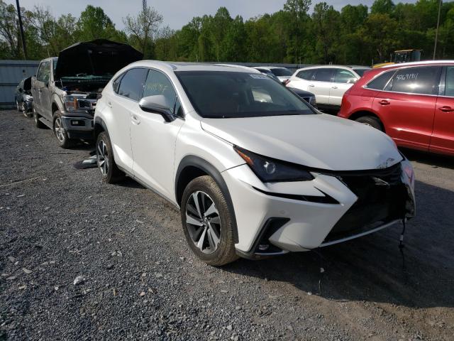 2019 lexus nx 300 bas