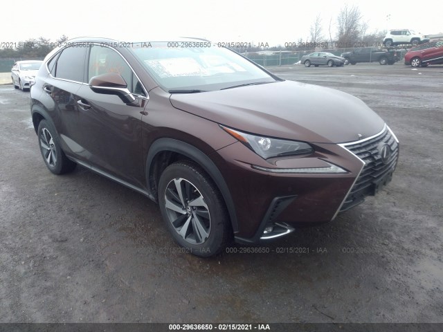 2019 lexus nx