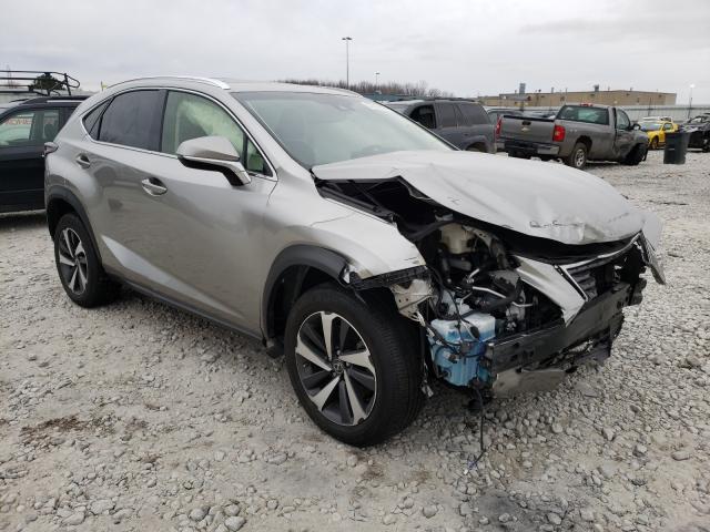 2019 lexus nx 300 bas