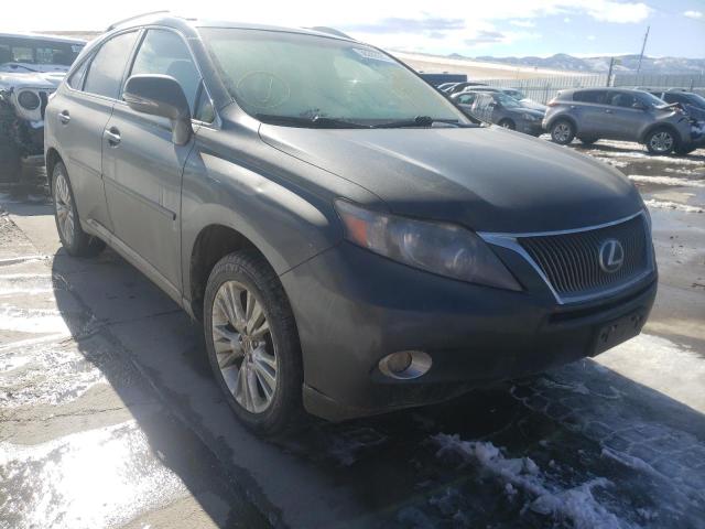 2011 lexus rx 450