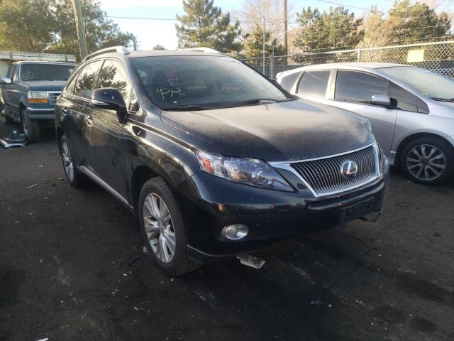 2010 lexus rx 450