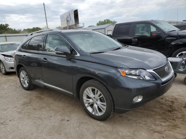2010 lexus rx 450