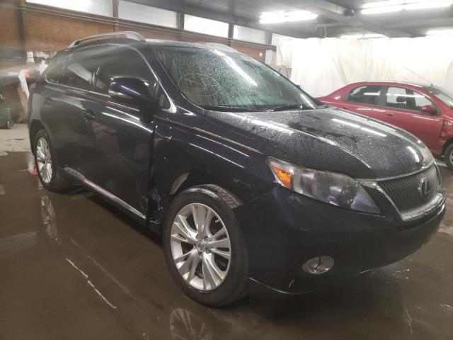 2010 lexus rx 450