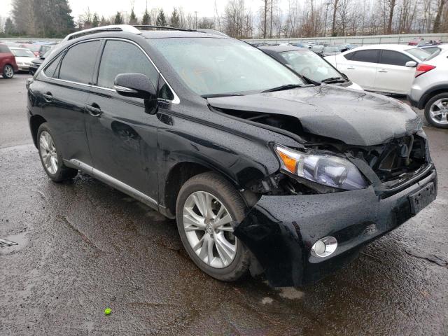 2010 lexus rx 450