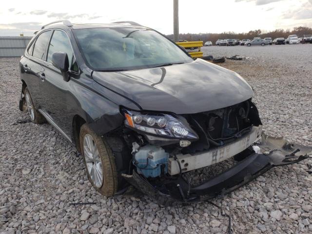 2010 lexus rx 450