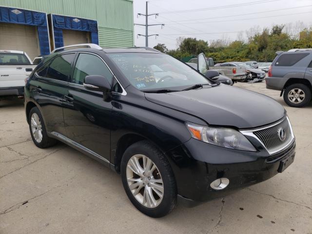2010 lexus rx 450