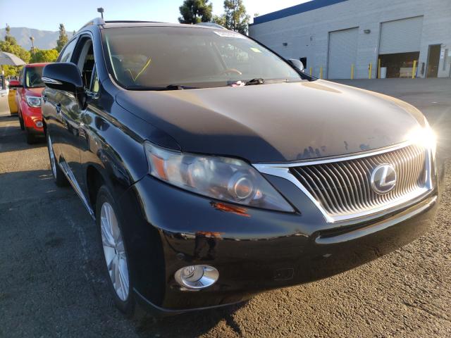 2010 lexus rx 450