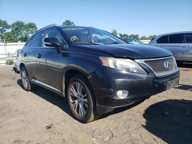 2010 lexus rx 450