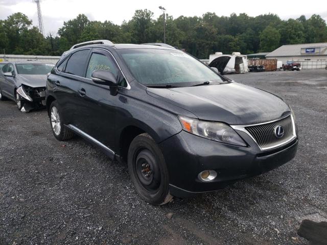 2010 lexus rx 450