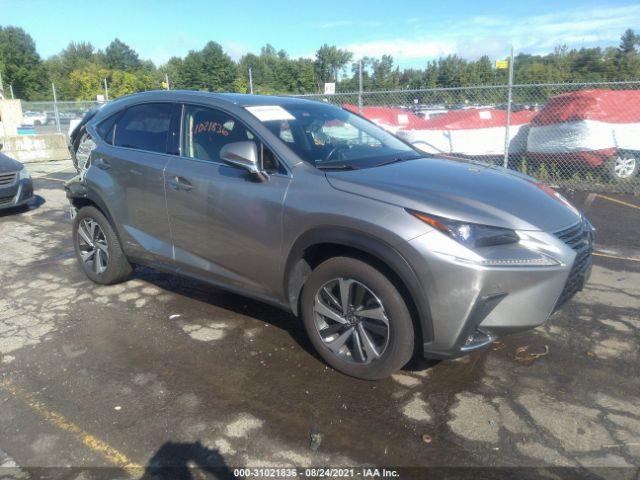 2019 lexus nx 300h