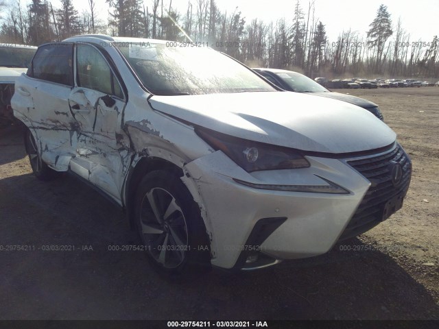 2019 lexus nx