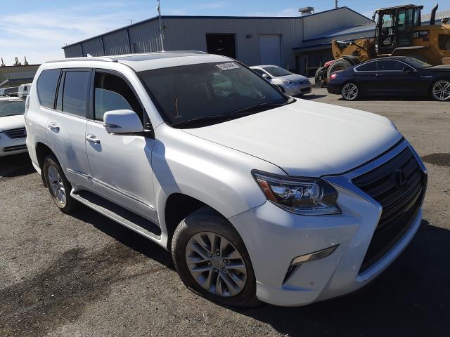 2019 lexus gx 460