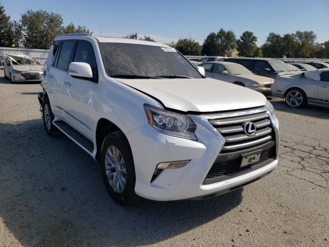 2019 lexus gx 460