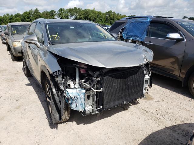 2019 lexus nx 300
