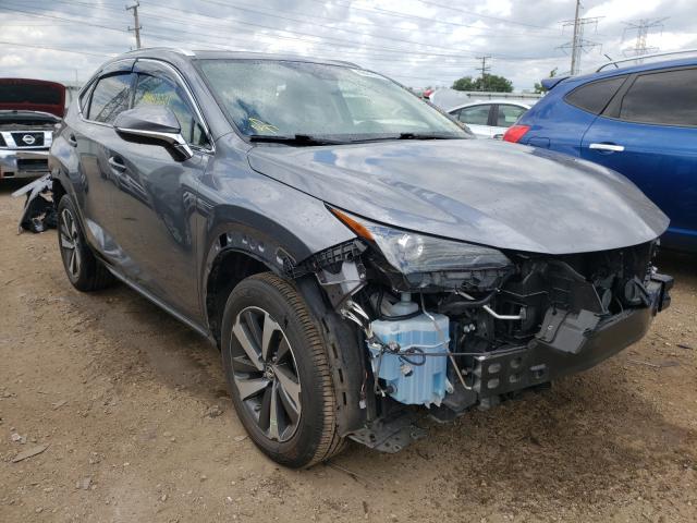 2019 lexus nx 300