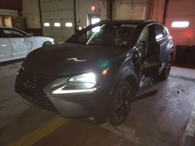 2019 lexus nx 300