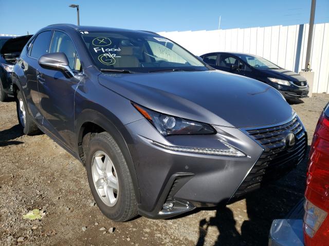 2021 lexus nx 300 bas