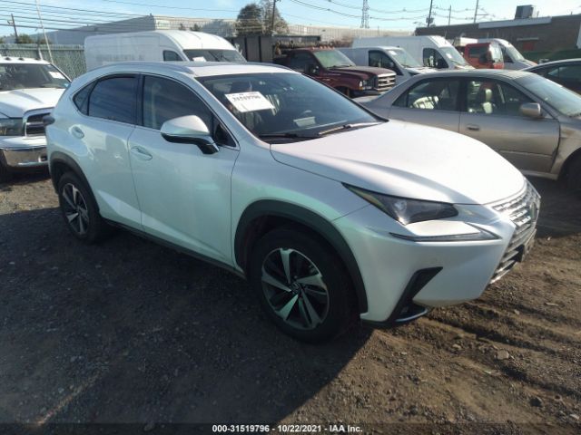 2019 lexus nx