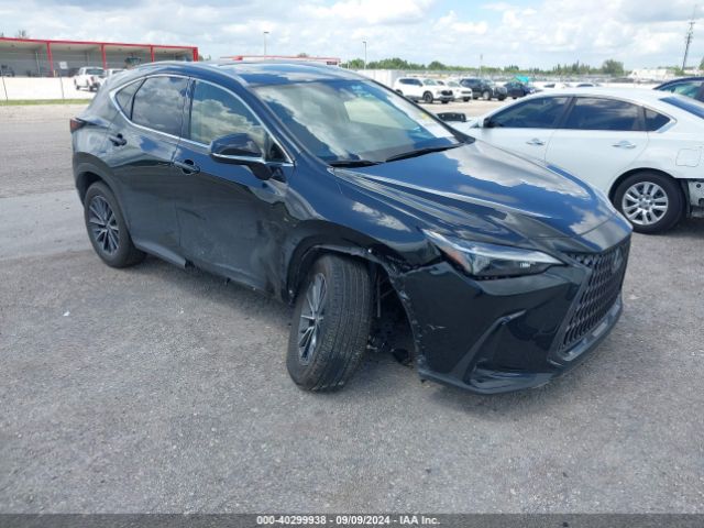 2024 LEXUS NX