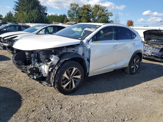 2019 lexus nx 300h