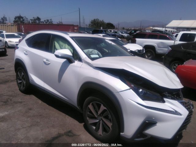 2020 lexus nx