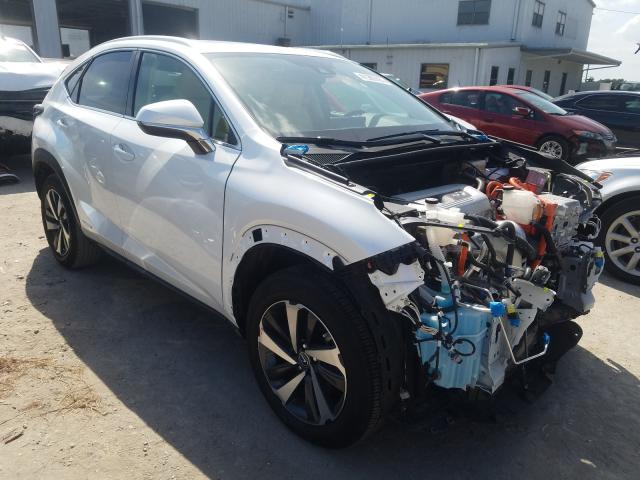 2019 lexus nx 300h