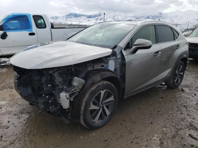 2019 lexus nx 300h