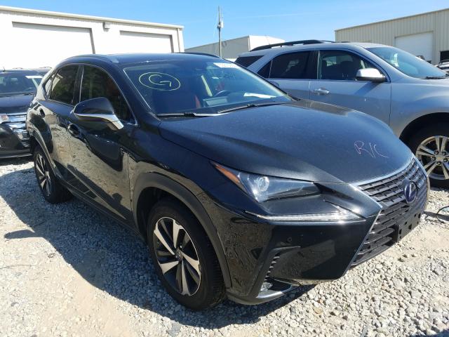 2019 lexus nx 300h