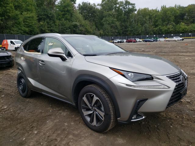 2019 lexus nx 300h
