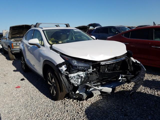 2019 lexus nx 300h