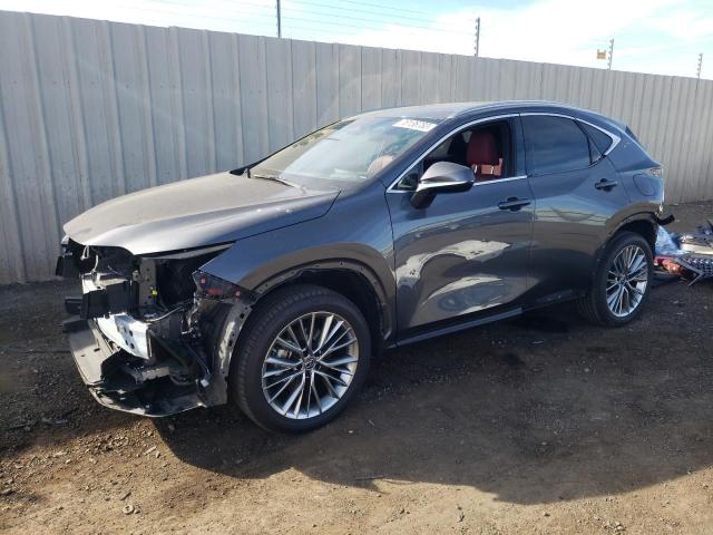 2022 lexus nx 350