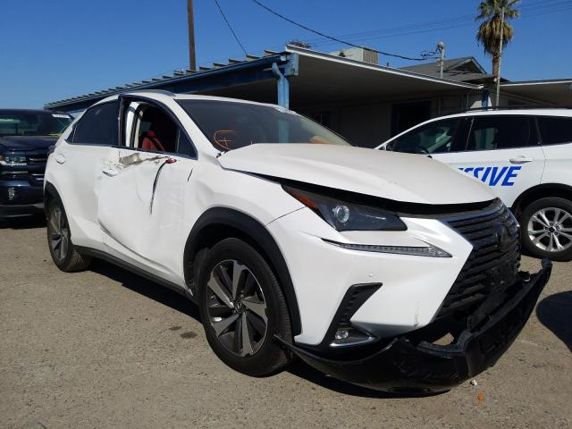 2019 lexus nx 300 bas