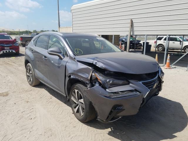 2019 lexus nx 300