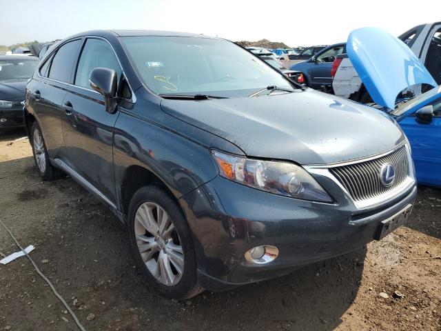 2010 lexus rx 450