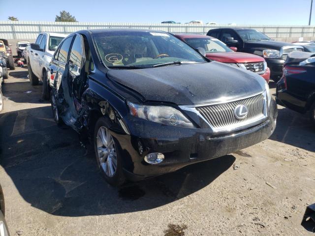 2010 lexus rx 450