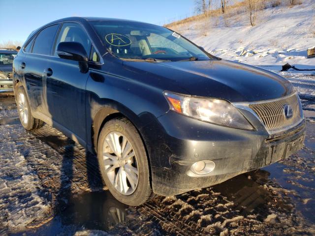 2010 lexus rx 450