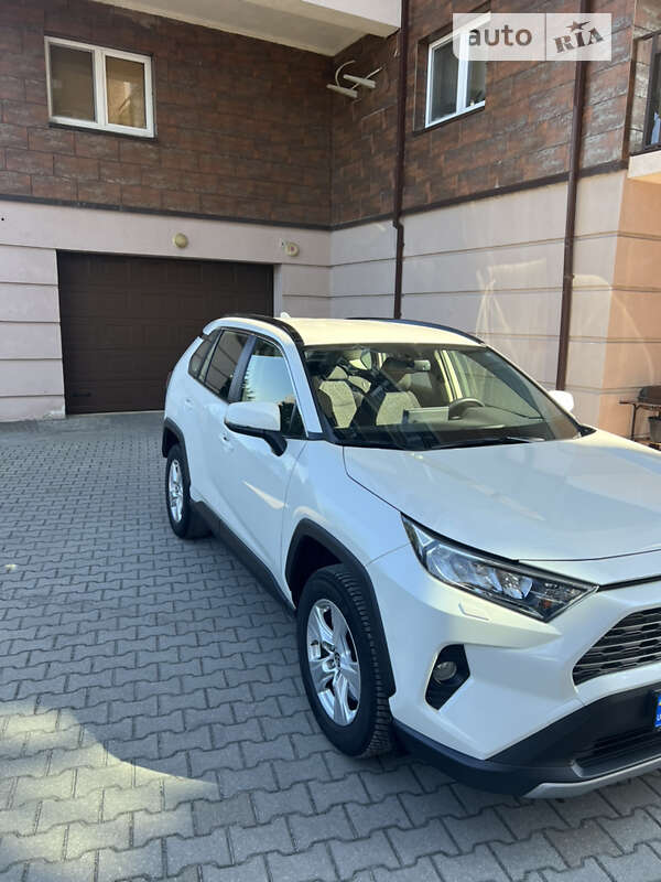 2019 toyota rav4