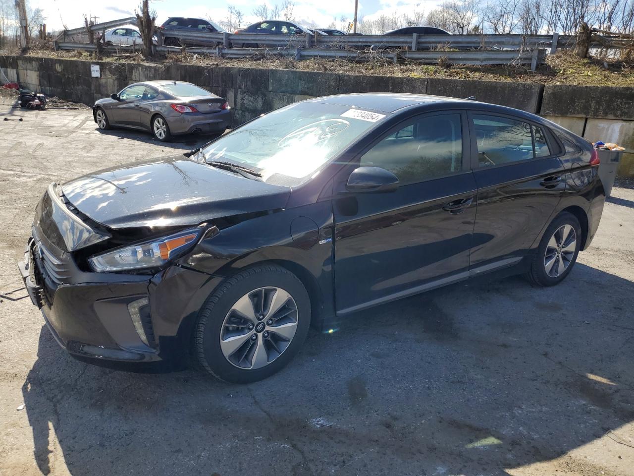 2019 hyundai ioniq
