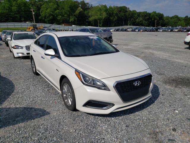 2016 hyundai sonata hyb