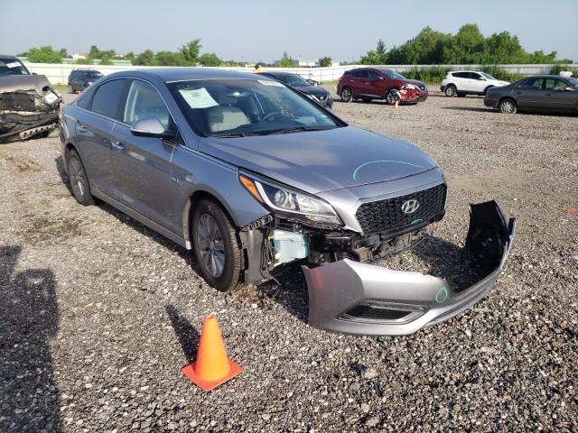 2016 hyundai sonata hyb