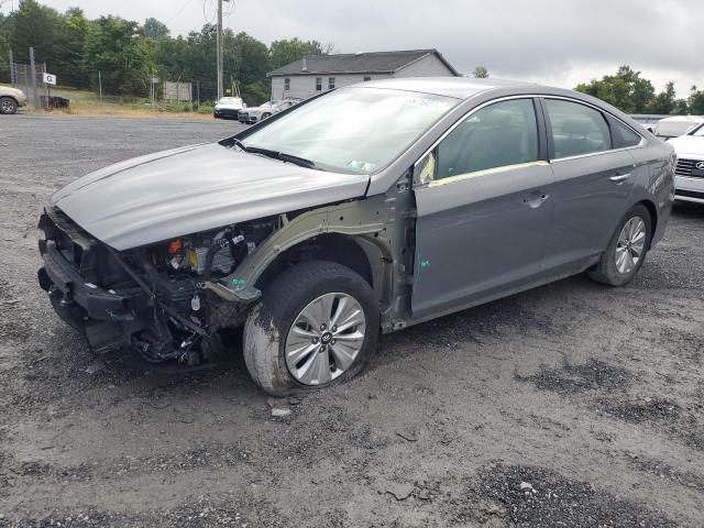 2019 hyundai sonata hyb