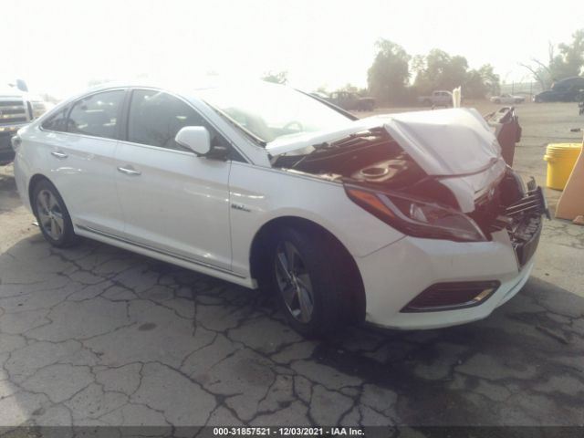 2015 hyundai sonata hybrid