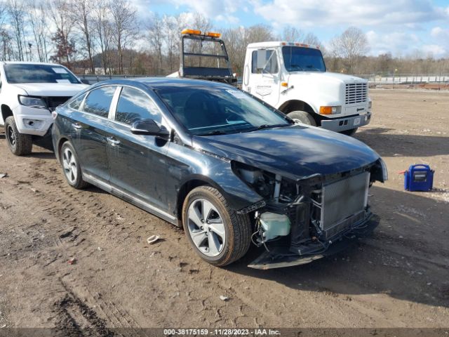 2015 hyundai sonata plug-in hybrid
